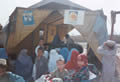 children waiting to be seen by the paediatrician at the Jalozai clinic